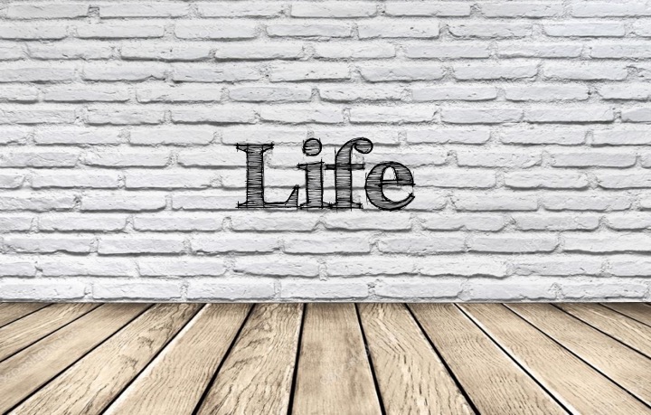 Nowy katalog Life i Life+ – jeszcze więcej w jednej cenie!